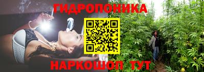 прущие грибы Славянск-на-Кубани