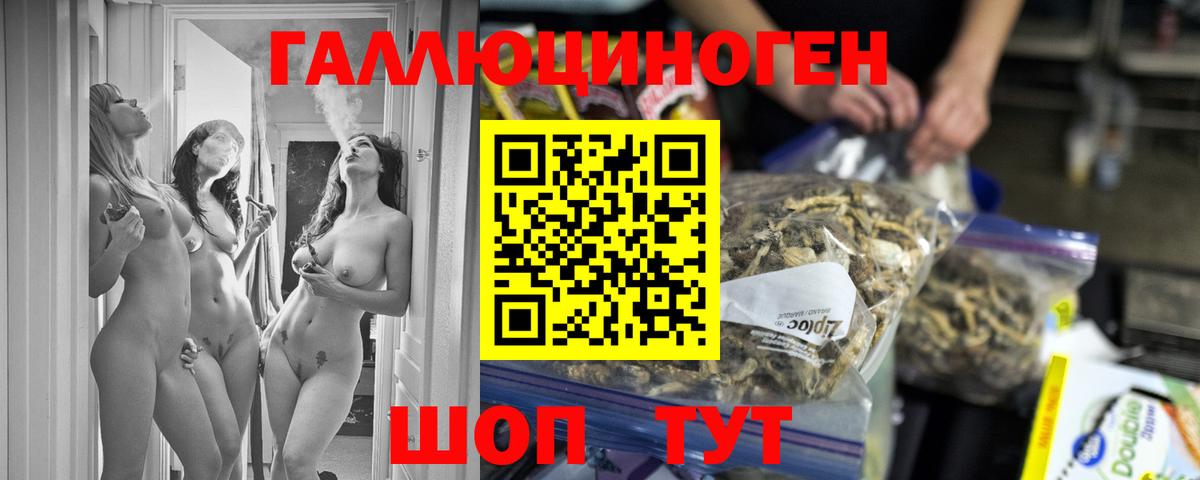 Новотроицк  Псилоцибиновые грибы Psilocybe  Вход с VPN 